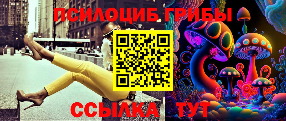 Псилоцибиновые грибы прущие грибы  Галлюциногенные грибы MAGIC MUSHROOMS  Реж  Вход с VPN 