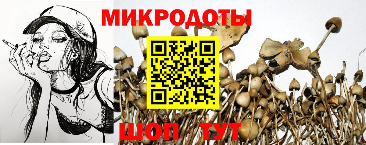 Псилоцибиновые грибы мицелий Реж